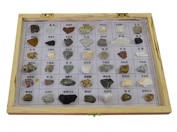 岩石矿物标本（42种）